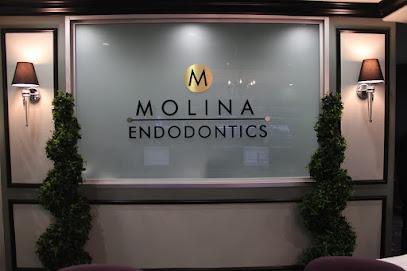 Molina Endodontics - General dentist in Downey, CA