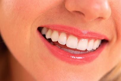 Dolphin Dental Group - General dentist in Largo, FL