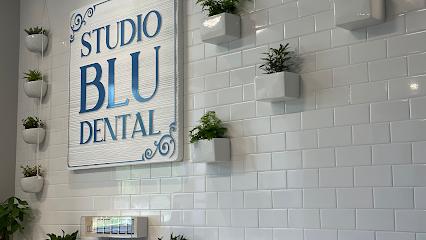 Studio Blu Dental - General dentist in Highland, NY