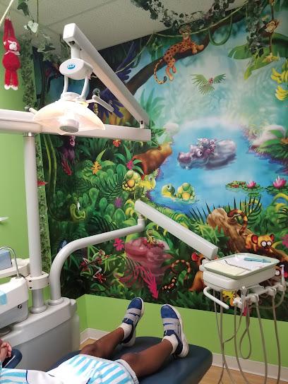 Dr. Chris’ Small Smiles Pediatric Dentistry - Pediatric dentist in Stony Brook, NY