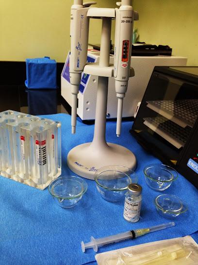 Dr. Kyoko Abe, DMD - General dentist in Portland, OR