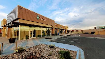 Northfield Pediatric Dentistry - Pediatric dentist in Denver, CO