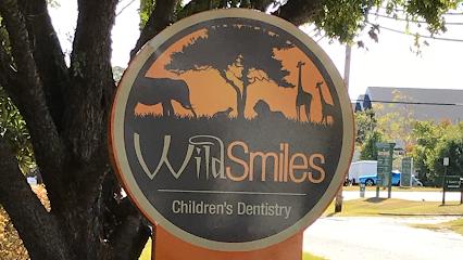 Wild Smiles – Lexington - Pediatric dentist in Lexington, SC