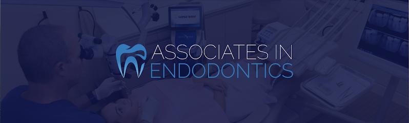 Associates In Endodontics, PA – Vincent C. Lovetto,Jr DMD - Endodontist in Naples, FL