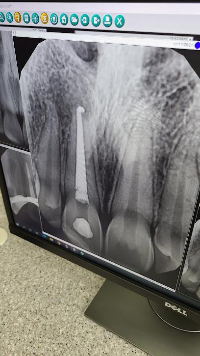 Ellis Endodontics - Endodontist in Conroe, TX