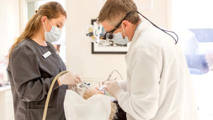 Levesque Dentistry - General dentist in Nashua, NH