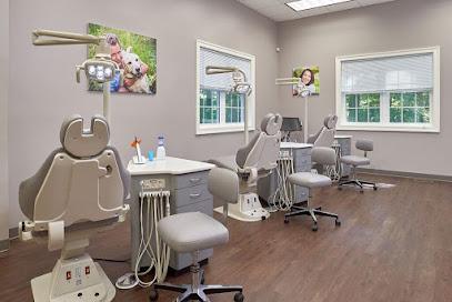 Mongiovi Orthodontics – Vincent Mongiovi, DMD - Orthodontist in Glen Mills, PA