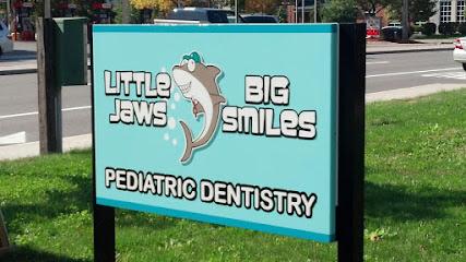 Little Jaws Big Smiles - Pediatric dentist in Syracuse, NY