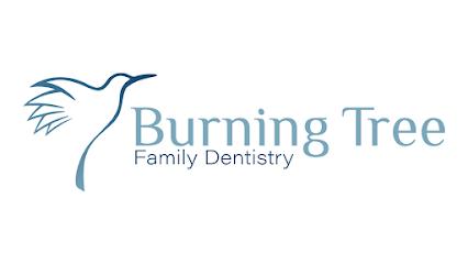 Burning Tree Family Dentistry - General dentist in Franktown, CO