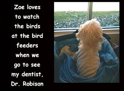 Robison Associates: Letha Robison DDS - General dentist in Colorado Springs, CO
