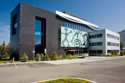 Julie A. Veerman, DDS, LLC - General dentist in Anchorage, AK