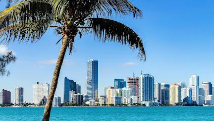 Center for Excellence in Dentistry - General dentist in Miami, FL