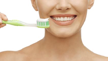 Shinkle Dentistry - General dentist in Cincinnati, OH