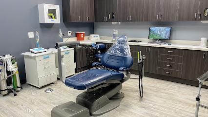 Eco Friendly Dentistry - General dentist in Oak Lawn, IL