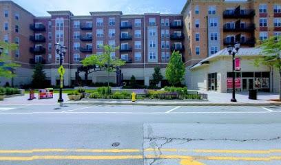 Stavroula Syropoulos, - General dentist in Elmhurst, IL