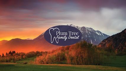 Plum Tree Family Dental - General dentist in Provo, UT