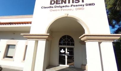 Claudie I. Delgado Feeney, DMD - General dentist in Bonita Springs, FL