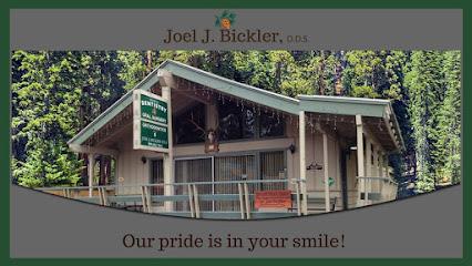 Joel J. Bickler, DDS - General dentist in Big Bear City, CA