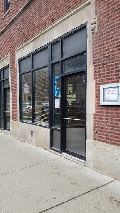 Drake David B - General dentist in Chicago, IL