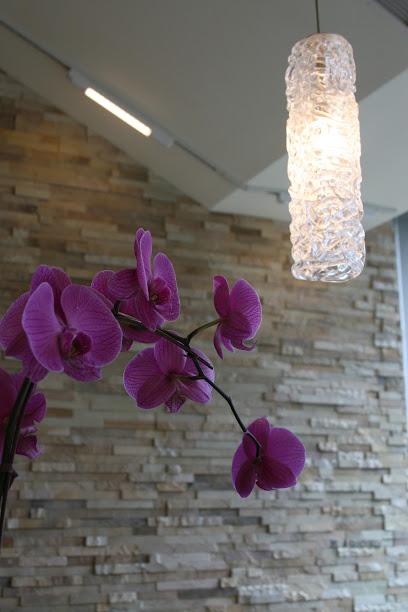 Pearl District Dental - General dentist in Portland, OR