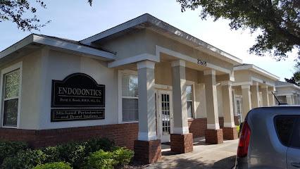 Endodontic Professionals - Endodontist in Wesley Chapel, FL