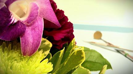 transcenDental - General dentist in Arlington, VA