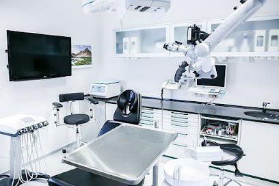 Robert J Gordon, DDS - General dentist in Malden, MA