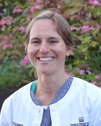 Pamela A Nicoara DDS MSD PLLC - Periodontist in Everett, WA