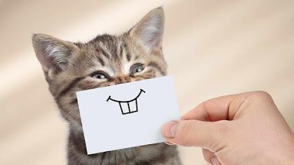 Smile! Dental - General dentist in Henderson, NV