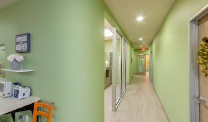 Blume Pediatric Dentistry - Pediatric dentist in San Antonio, TX