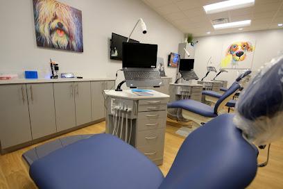New Image Orthodontics & Dentistry - Orthodontist in Pearland, TX