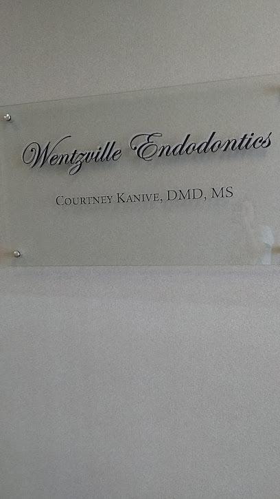 Wentzville Endodontics - General dentist in Wentzville, MO