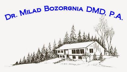 Milad Bozorgnia, DMD, P.A. - General dentist in East Wilton, 
