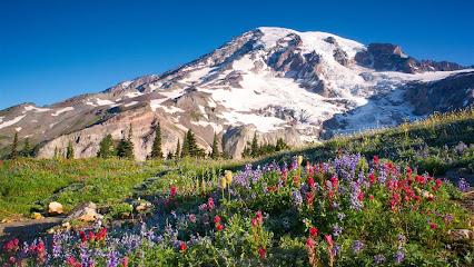 Parkland Pacific Dental - General dentist in Tacoma, WA