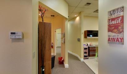 Catherine Nguyen DDS, SC DENTISTRY - General dentist in Brea, CA