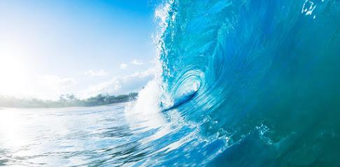 Andy Q.V. Le, DDS - Periodontist in San Leandro, CA