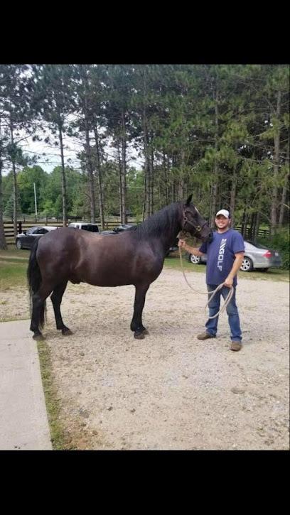 Ryan Nemann Equine Dentistry - General dentist in Verona, KY
