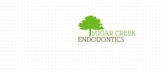 Sugar Creek Endodontics - Endodontist in Sugar Land, TX