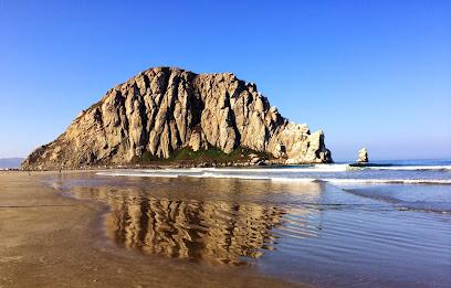 Scott Taylor DDS — Pure Simple Dental - General dentist in Morro Bay, CA