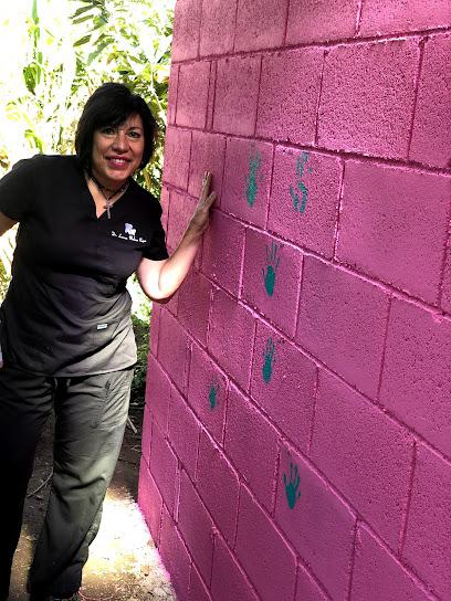 Dr. Lorena Molina-Rojas, DDS - General dentist in Mcallen, TX