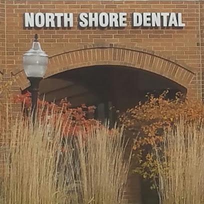 North Shore Dental Care – Terence Michiels D.D.S. - General dentist in Lake Bluff, IL