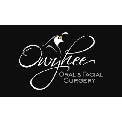 Owyhee Oral & Facial Surgery - Oral surgeon in Meridian, ID