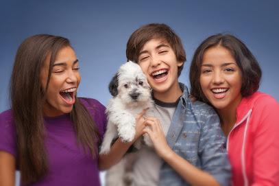 Teng Smiles Orthodontics PC - Orthodontist in Bellevue, WA