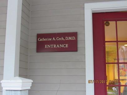 Catherine Cech D.M.D. PC - General dentist in Manchester Center, VT