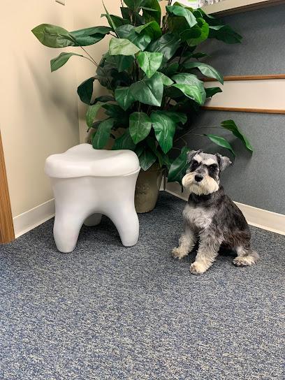 Briscoe Dentistry - General dentist in Fort Wayne, IN