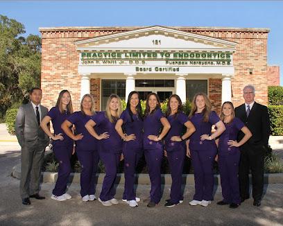 Village Endodontics - General dentist in Lady Lake, FL