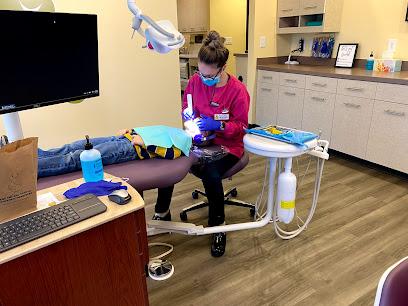 The Smiling Turtle Pediatric Dentistry - Pediatric dentist in Holly Springs, NC