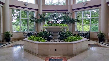 Cary Dental Center - General dentist in Cary, NC