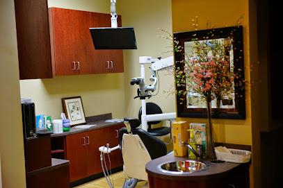 Spring Endodontics, Shiwei Cai DDS - General dentist in Spring, TX