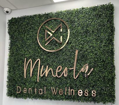 Mineola Dental Wellness - General dentist in Mineola, NY